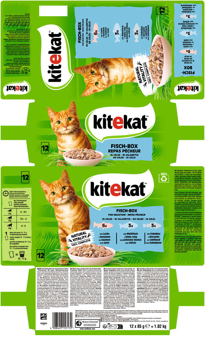 Kitekat Katzen-Nassfutter Fisch-Box in Gelee 12x85g